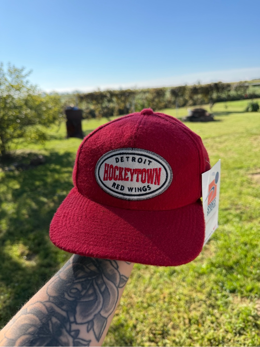 Vintage Detroit Redwings Hockeytown Hat